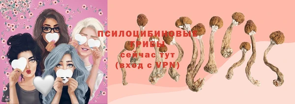 spice Бородино