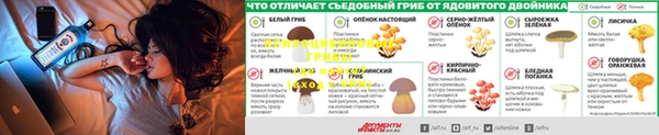 ПСИЛОЦИБИНОВЫЕ ГРИБЫ Богородск