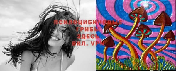 ПСИЛОЦИБИНОВЫЕ ГРИБЫ Богородск
