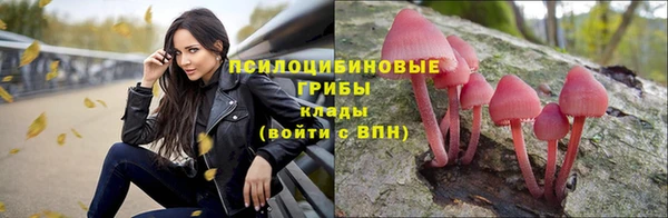 mdma Богородицк