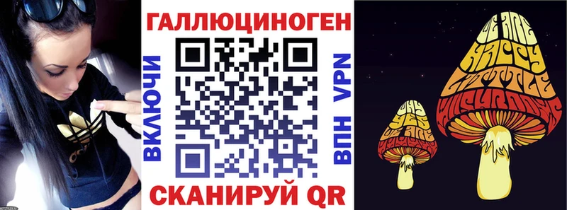 где продают   Коркино  Галлюциногенные грибы Cubensis 